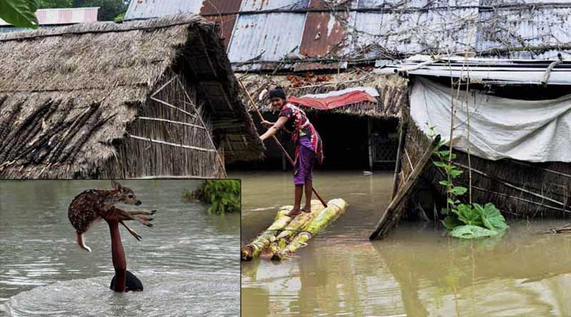 Famous Photo From Bangladesh In Assam's Flood Report To Rajnath Singh