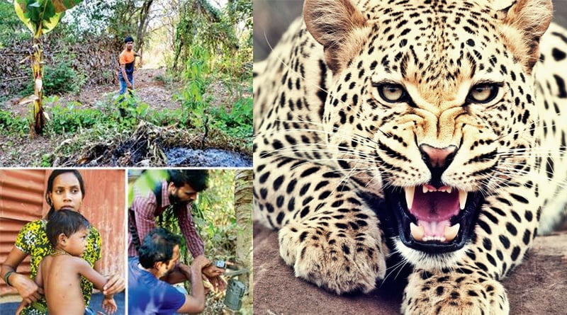 Daring death woman pounces on leopard, saves child from predator