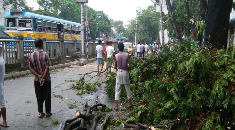 Thunderstorm lashes West Bengal, 5 dead