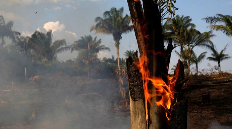 Amazon forest sets ablaze, lungs of the earth turned into CO2 mine