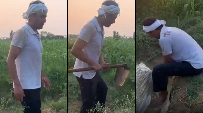 UP: Nawazuddin Siddiqui spends his day farming at hometown