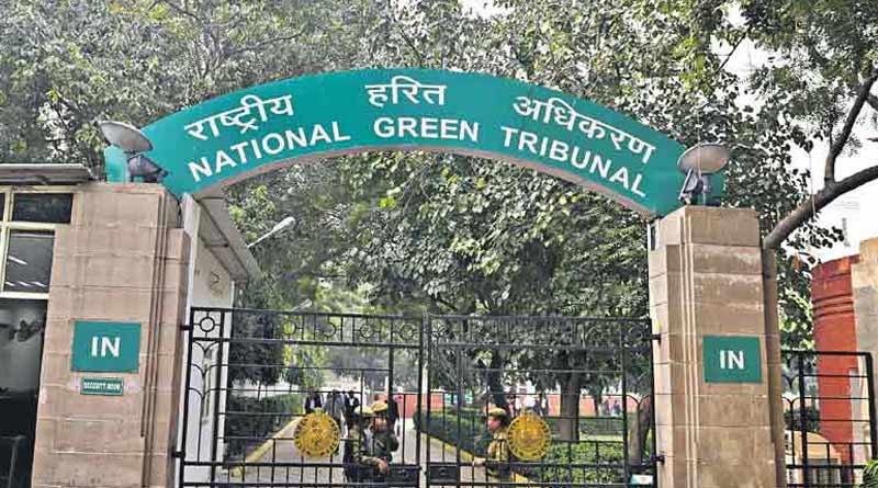 NGT orders Gas corporation to give compensation to the family of death student of Presidency