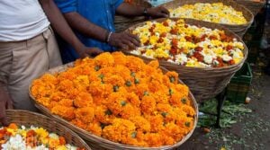 Flower Price hiked before Ganesh Chaturthi 2023