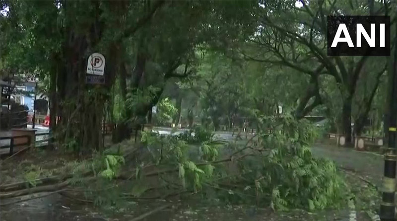 Cyclonic storm Tauktae has intensified into a very severe cyclonic storm