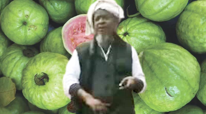 Guava seller's song goes viral in social media । Sangbad Pratidin