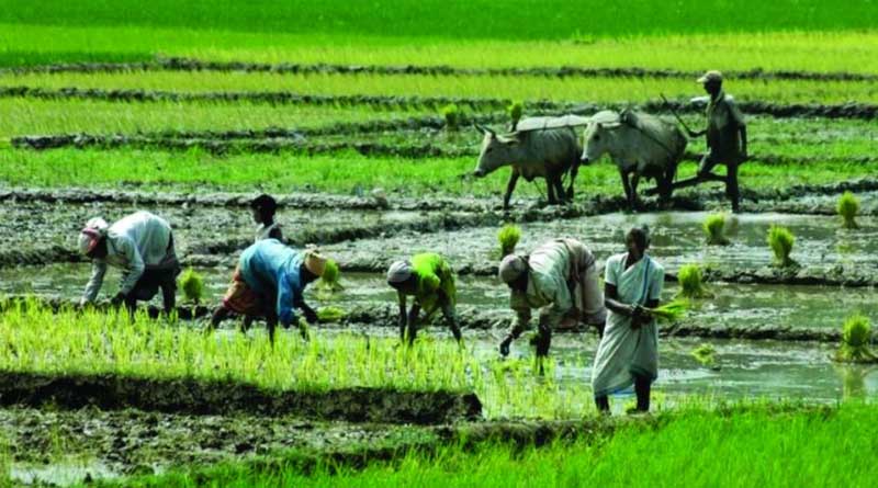 Need to strengthen village economy with technological means | Sangbad Pratidin