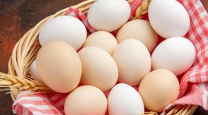 India exports more than two lakhs eggs to Bangladesh ahead of Durga Puja