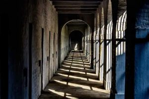 Jalpaiguri court announces verdict on wife who killed husband, sentenced to life imprisonment