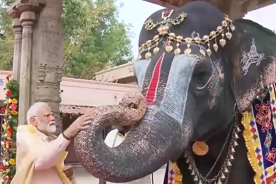 An elephant at Sri Ranganathaswamy Temple blessed PM Modi and played mouth organ। Sangbad Pratidin