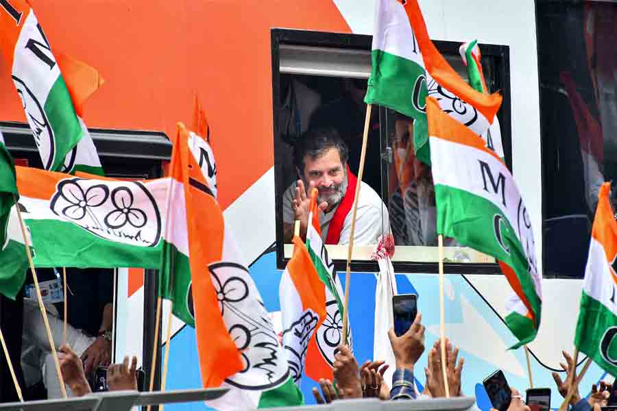 TMC Workers walked in Rahul Gandhi's Nyay Yatra in Assam | Sangbad Pratidin