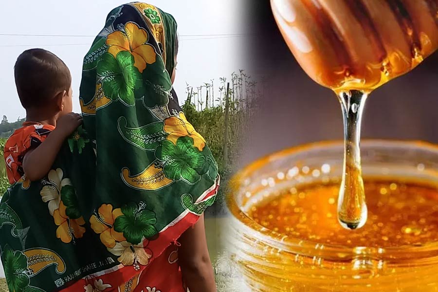 Sundarban Honey