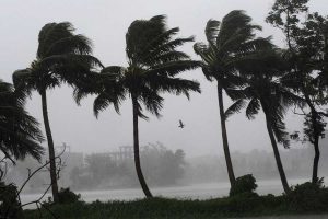 WB Weather Update: Cyclone Dana may affect in West Bengal