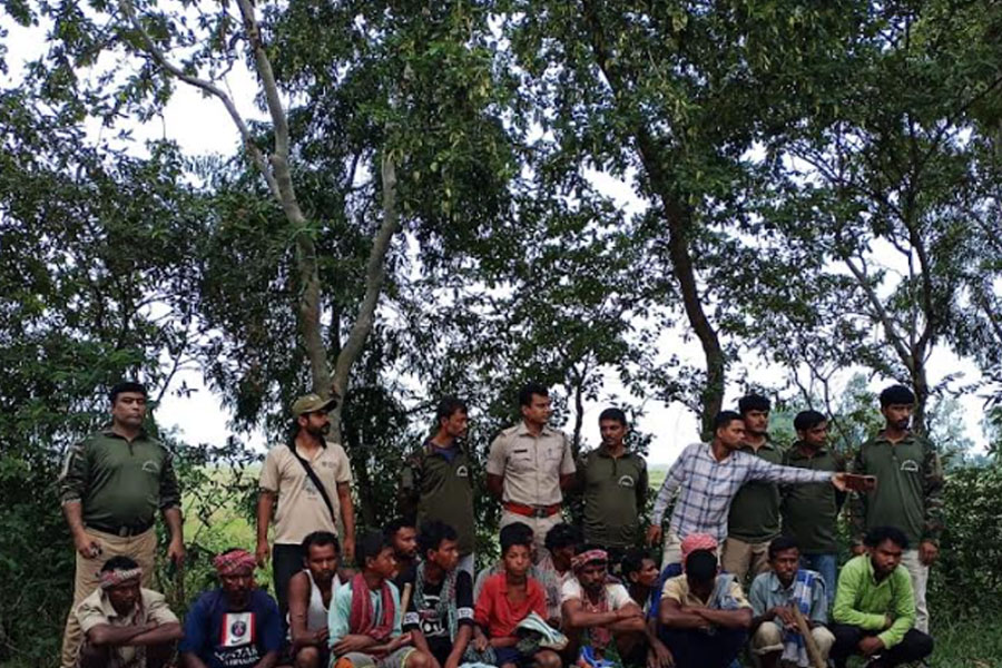 Forest Department conducts raid on poaching in Ketugram, many animal rescued