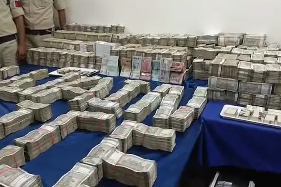 Huge T20 World Cup Betting Racket Busted In Madhya Pradesh
