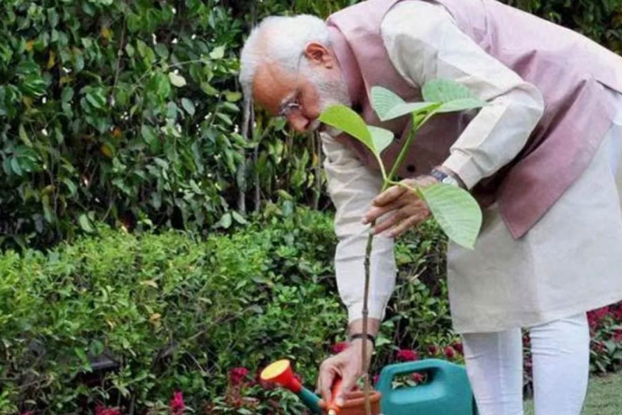World Environment Day: PM Modi launches 'ek ped maa ke naam' campaign