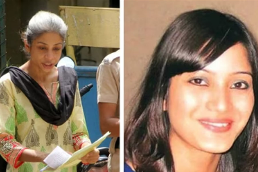 Bones and remains allegedly of Sheena Bora not traceable, prosecution tells court