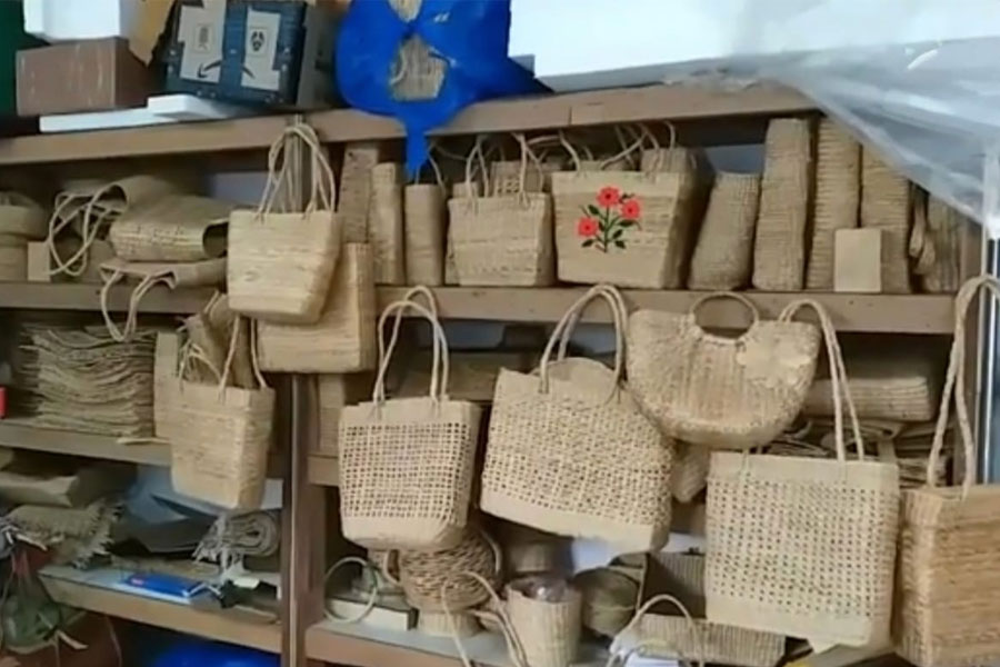 Bags are being made from Water hyacinths in Hooghly Bandel