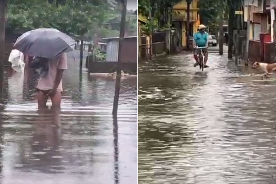 Jalpaiguri waterlogged due to heavy rain, locals furious about drainage system