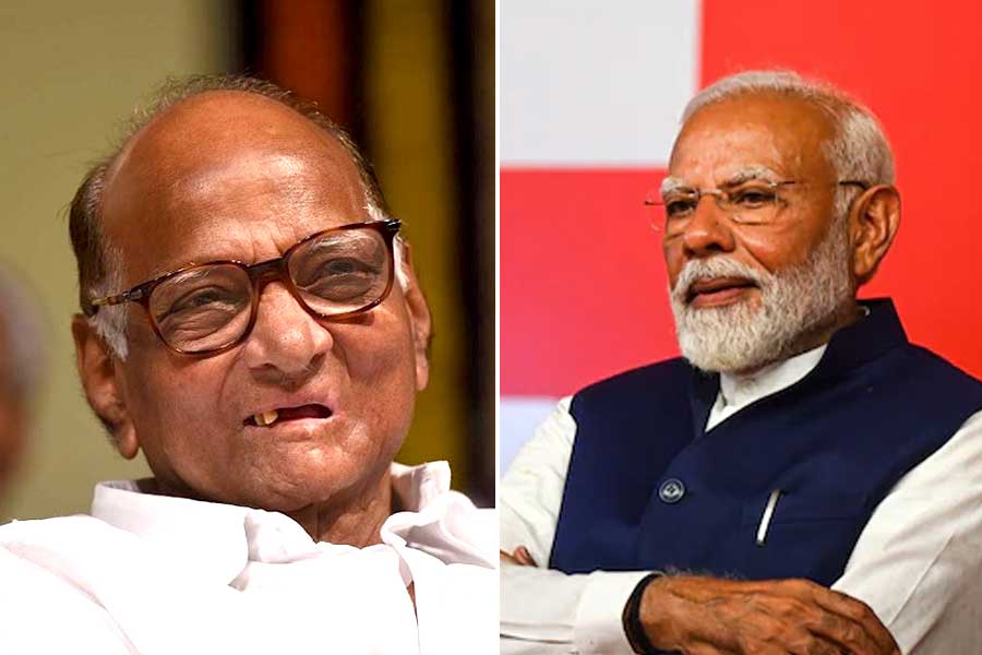 wherever the PM Modi roadshow rally took place there we won says Sharad Pawar