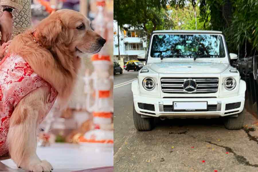 Ambani dog Happy owns a luxury car