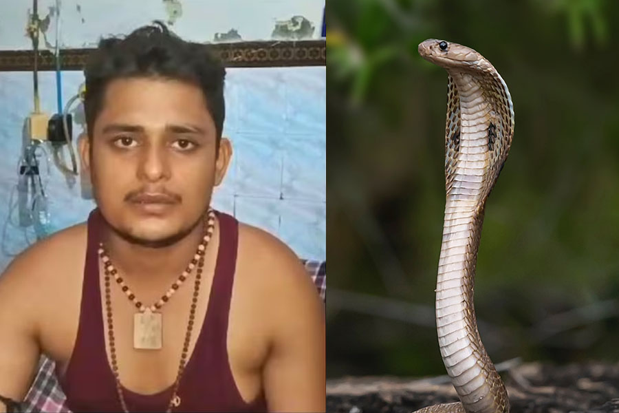 UP man survives five snake bites in a month, doctors astonished