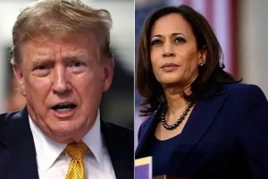 Kamala Harris record levels of fundraising since she took over Democratic ticket