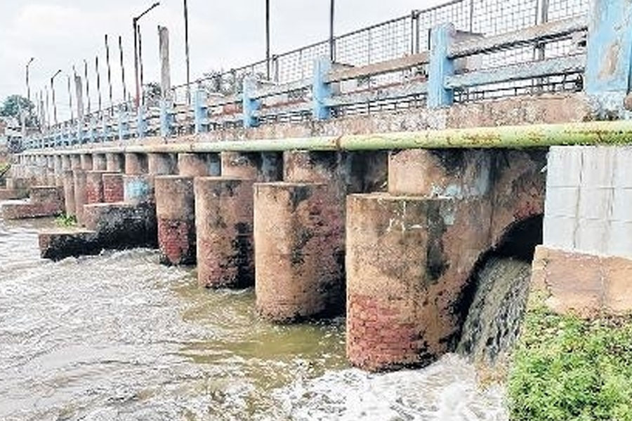 Kolkata Corporation mayor's council found cracks in the dam during the inspection