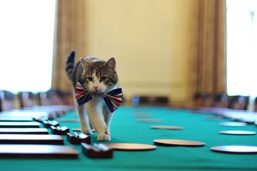 Larry, the cat will welcome sixth prime minister of Britain