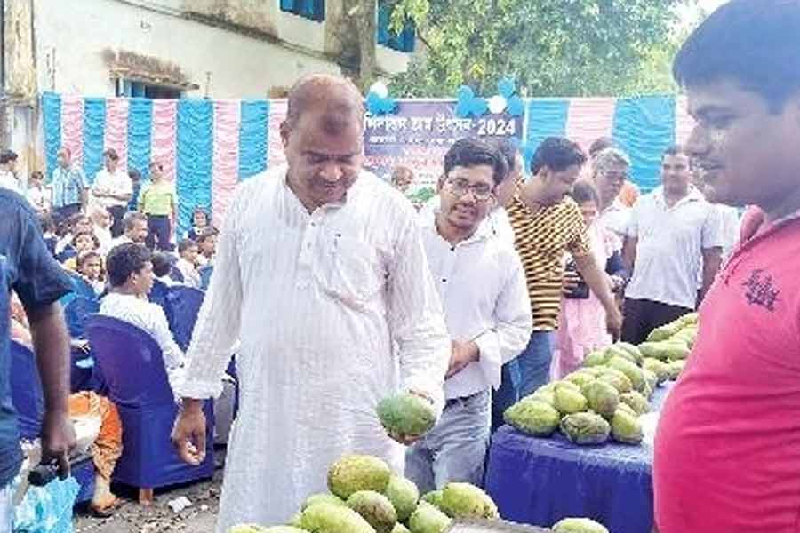 Mango festival held in Murshidabad
