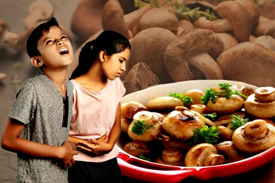 Students fell ill after eating mashrooms cooked by themselves in Bankura