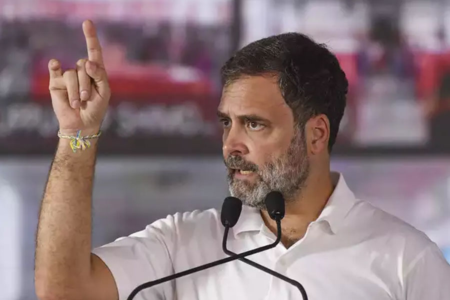 Assembly bypoll result: Rahul Gandhi says web of 'fear and confusion' woven by BJP broken