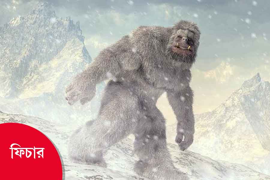 All you need to know about Yetis