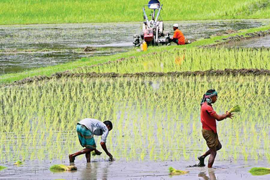 Australian technology will be use in agriculture for climate challenges