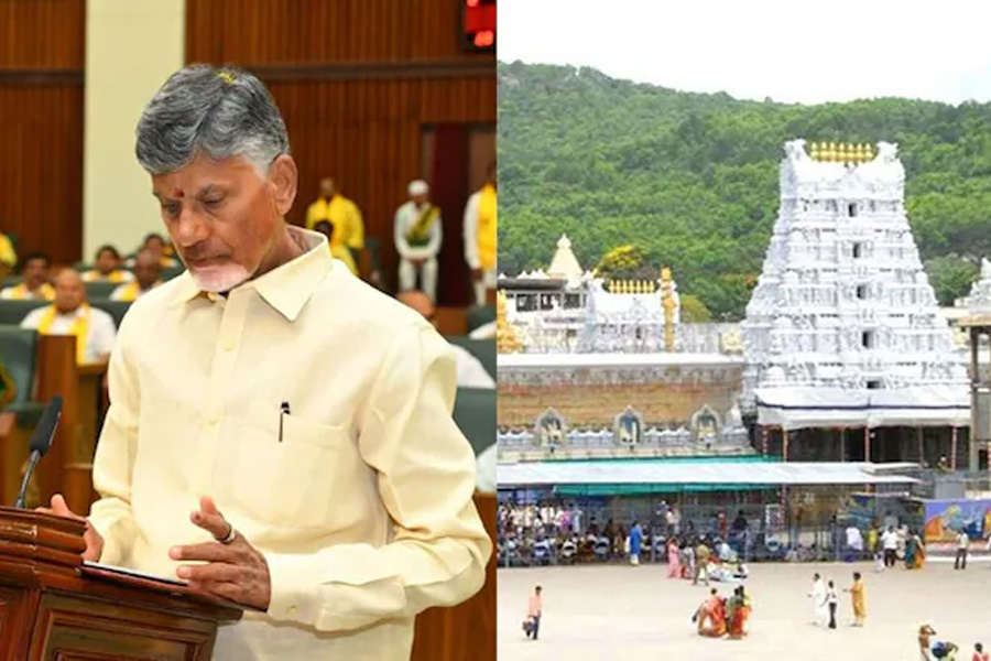 Andhra CM Chandrababu Naidu claims animal fat used in Tirupati laddoo