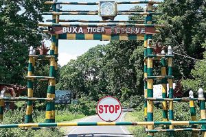 Buxa Tiger Reserve: Jungle safari again starts from 16th September