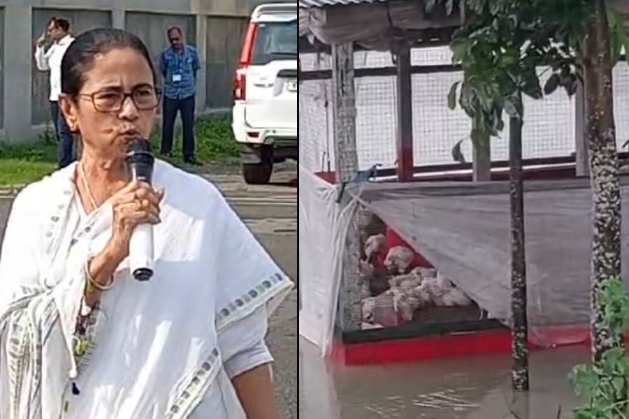 CM Mamata Banerjee says that flood situation in North Bengal arises due to water in Koshi River, Nepal