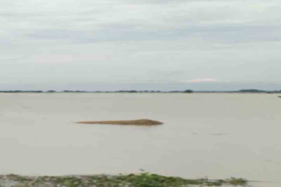 Huge area flooded in Murshidabad