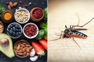 Foods one should eat while treating Malaria, Know this health Tips