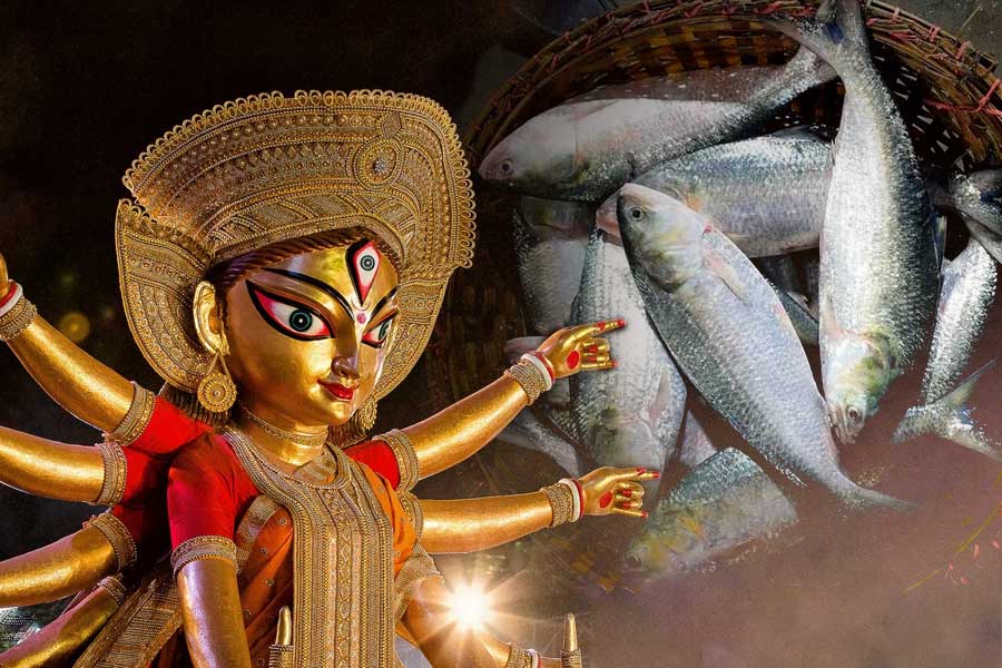 Bangladesh bans Padma hilsa for Durga Puja