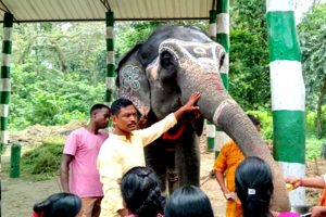 Elephants are worshiped in Vishwakarma Puja at Dooars and Alipurduar