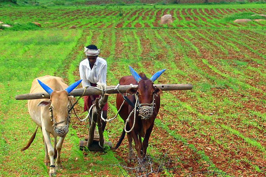 Union Cabinet approves Digital Agriculture Mission and 6 other schemes