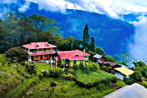 Durga Puja Travel: Off beat destination Kolbong the real beauty in Darjeeling