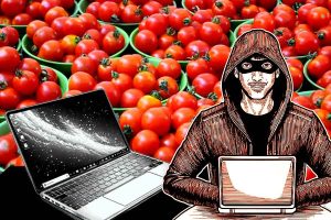 Bengaluru company's IT admin steals 50 laptops after failed tomato farming