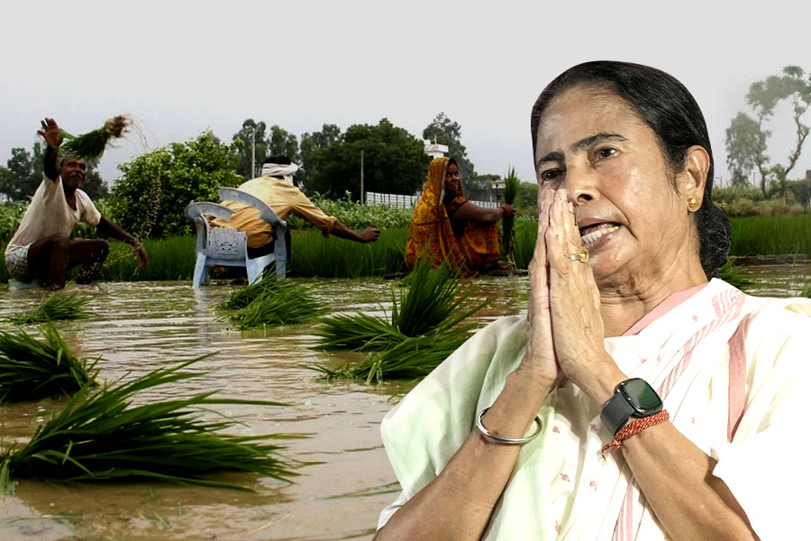 Flood affected farmers will get fund from insurance, says Mamata Banerjee