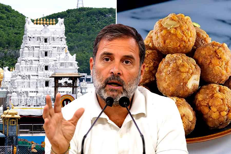 Rahul Gandhi reacts to alleged use of ‘animal fat’ in Tirupati Laddu