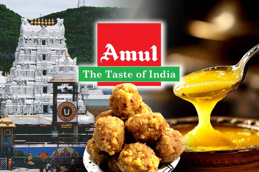 Amul denies supplying ghee to Tirupati temple