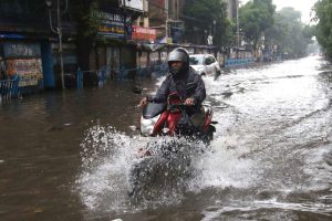 Kolkata now breaths easy as cyclone Dana clears allergy-inducing Chhatim flowers