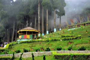 Durga Puja Travel: Tourists avoid North Bengal for rain