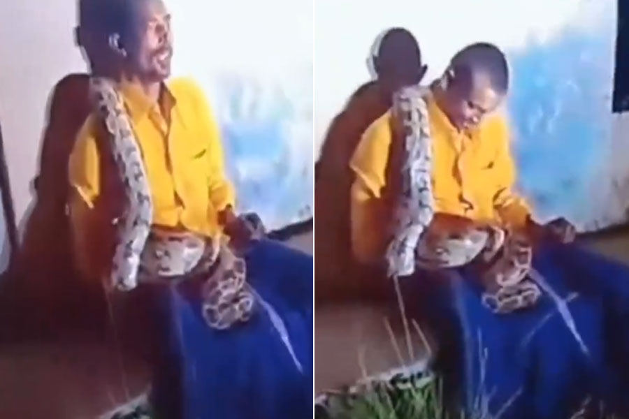 Giant python wraps itself around drunk man in viral video from Andhra Pradesh