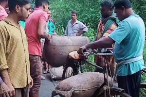 Sacks of rice allegedly from ration shop found from cannel in Purba Medinipur